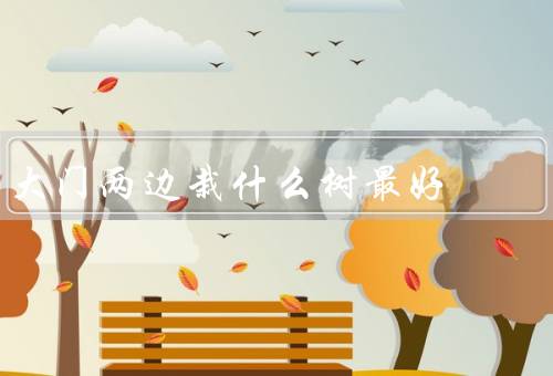 大门两边栽什么树最好，大门两边适宜种植的树木／榆树的特点