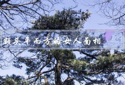 额头平而方的女人面相，额头平而方／自信与聪明／理性与冷静