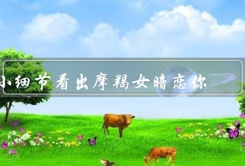 小细节看出摩羯女暗恋你，关注你的喜好／关心你的生活细节