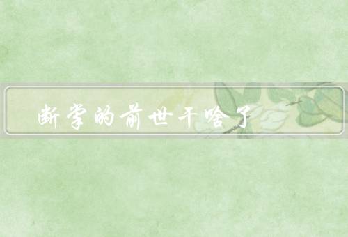 断掌的前世干啥了（修行者／罪业者／普通人）