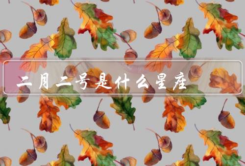 二月二号是什么星座（特点／爱情观／职业选择）