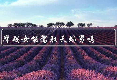 摩羯女能驾驭天蝎男吗（相似性格、互补优势、相互包容）