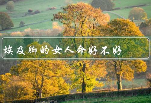 埃及脚的女人命好不好（命好吗／命的影响因素／结论）