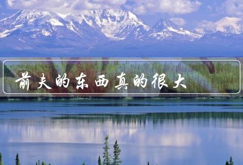 前夫的东西真的很大（影响、痕迹、对感激）