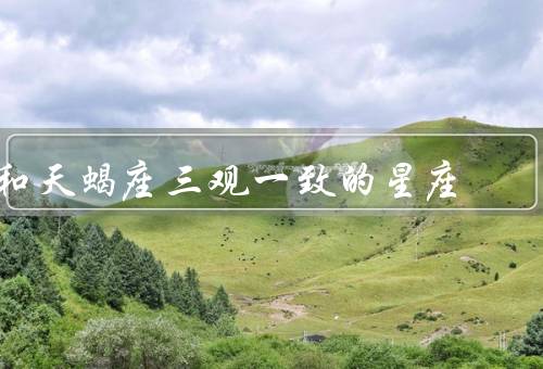 和天蝎座三观一致的星座，双鱼座／巨蟹座／摩羯座