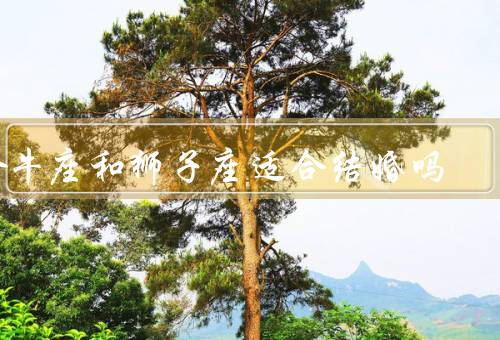 金牛座和狮子座适合结婚吗（相性／共同点／婚姻建议）