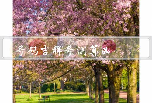 号码吉祥号测算凶（含义、组合、个人信念）