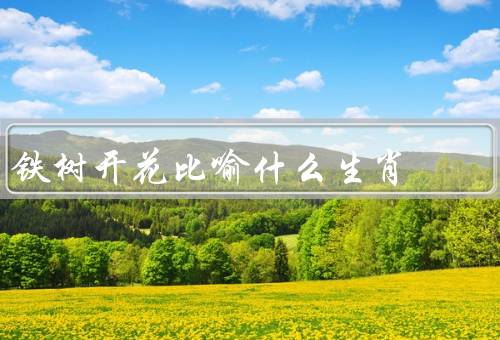 铁树开花比喻什么生肖，鼠、龙、羊