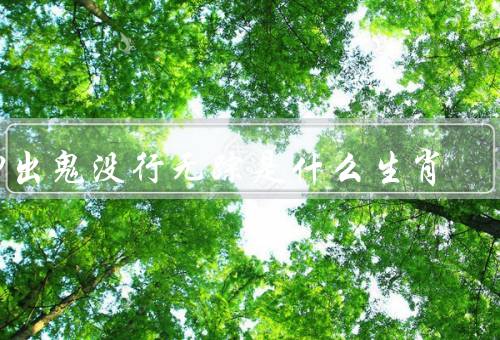 神出鬼没行无踪是什么生肖，神出鬼没、行无踪、生肖猫的特征