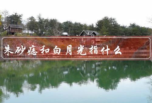 朱砂痣和白月光指什么，朱砂痣／白月光／结语