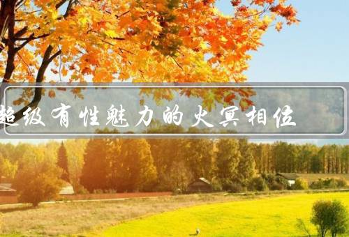 超级有性魅力的火冥相位（超强的气场／神秘而吸引人的气质）