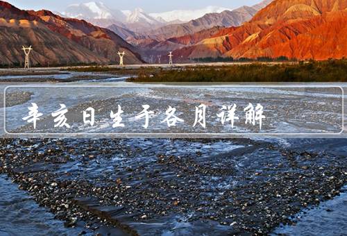 辛亥日生于各月详解，一月／二月／三月