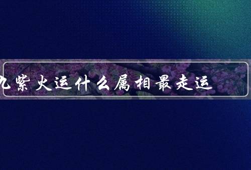 九紫火运什么属相最走运（猪年、兔年、羊年）