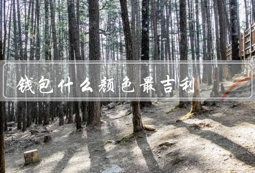 钱包什么颜色最吉利，红色／金色／紫色