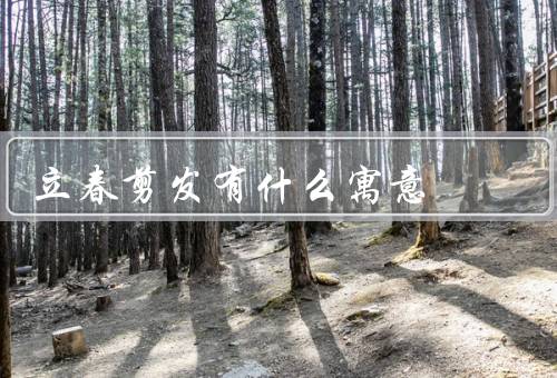 立春剪发有什么寓意，理发除旧迎新／开运招财／祛除病气