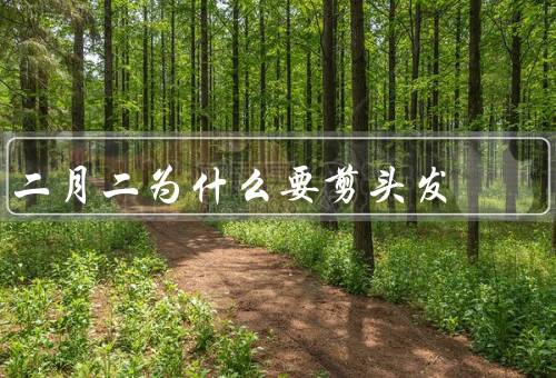 二月二为什么要剪头发，历史、迷信、习俗