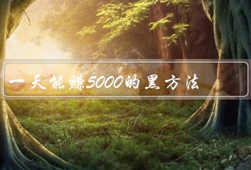 一天能赚5000的黑方法，网络诈骗／非法赌博／网络攻击