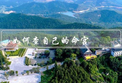 如何查自己的命宫，出生时间和地点／使用命盘工具／命宫的位置