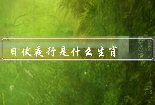 日伏夜行是什么生肖，特点、优点、建议