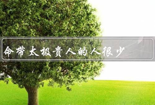 命带太极贵人的人很少，定义／特征／如何得到帮助