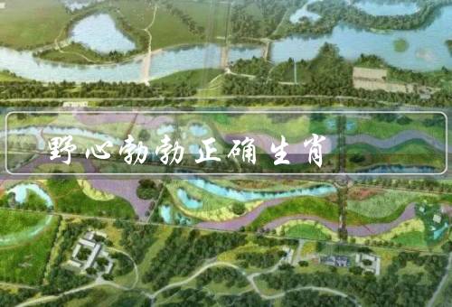 野心勃勃正确生肖，正确生肖／生肖的成功之路／结语