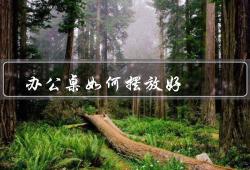 办公桌如何摆放风水好（位置、摆放、摆件）
