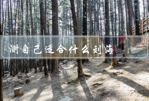 测自己适合什么刘海，脸型测量／发质测量／个人风格