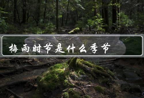 梅雨时节是什么季节，定义／特点／影响