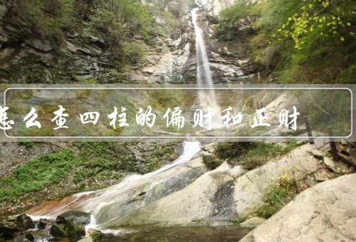 怎么查四柱的偏财和正财，偏财的查找／正财的查找