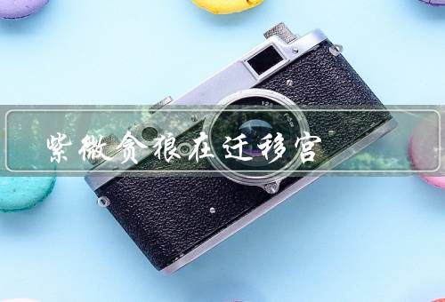 紫微贪狼在迁移宫，在迁移宫、影响、总结