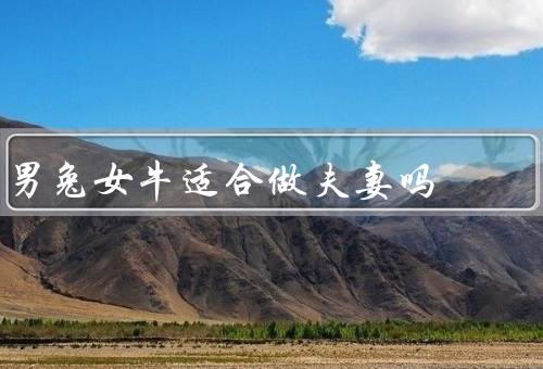 男兔女牛适合做夫妻吗（性格特点、生活方式、价值观）