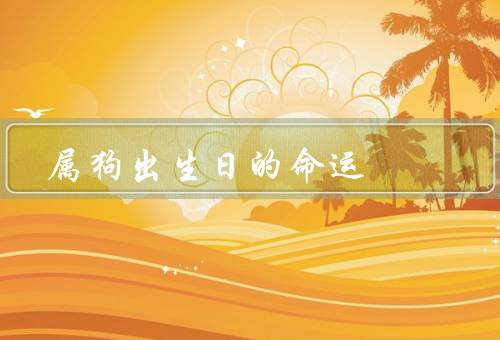 属狗出生日的命运（事业命运／财富命运／感情命运）