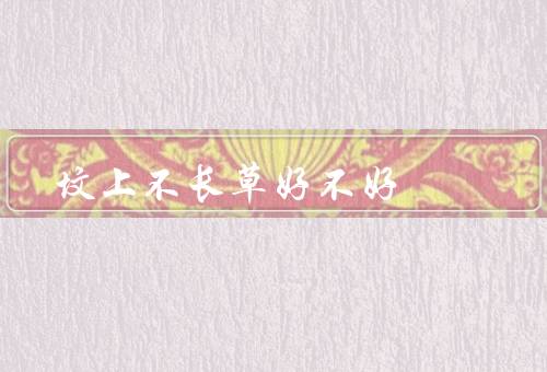 坟上不长草好不好（不长草、长草、结论）