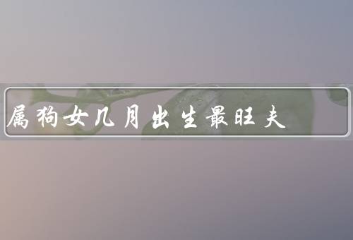 属狗女几月出生最旺夫（春季出生的属狗女／夏季出生的属狗女）