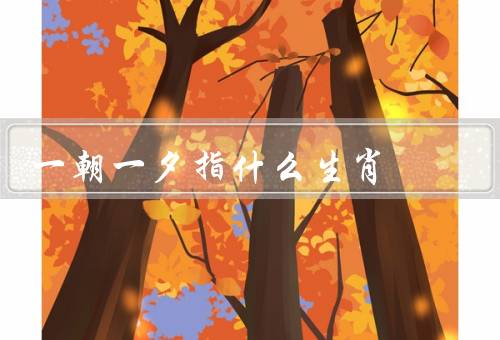 一朝一夕指什么生肖（猴子／兔子／蛇）