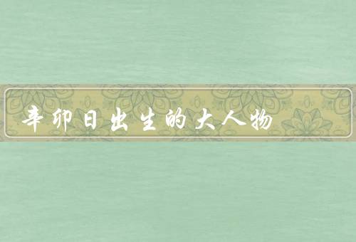 辛卯日出生的大人物，敢于创新／才能／影响力