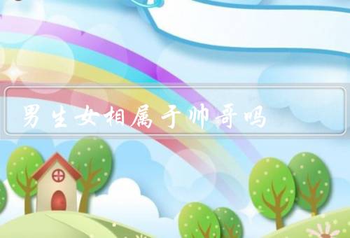 男生女相属于帅哥吗（是否能算作帅哥？／魅力所在／挑战与机遇）