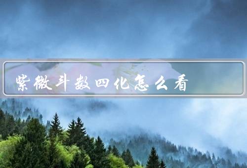 紫微斗数四化怎么看，概念、影响、结论