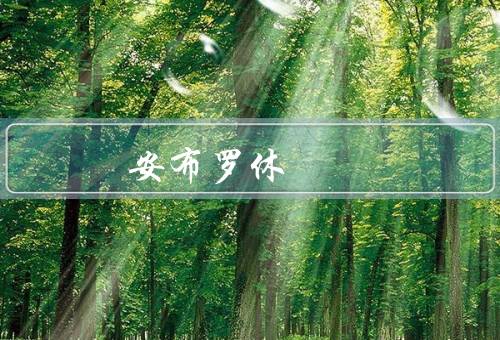 亚历山大安布罗休（早年经历／广播事业／休对影响）