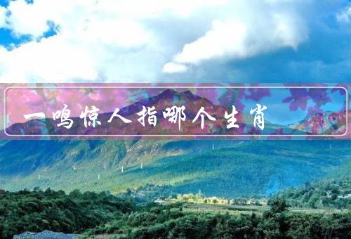 一鸣惊人指哪个生肖，特点／原因／如何