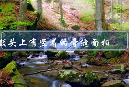 额头上有竖着的骨缝面相，聪明才智／坚韧意志／情感稳定