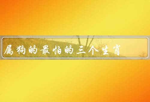 属狗的最怕的三个生肖（属鼠的人、虎的人、羊的人）
