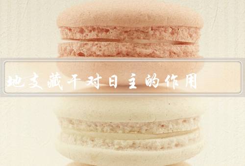 地支藏干对日主的作用，含义／对日主作用／其他作用