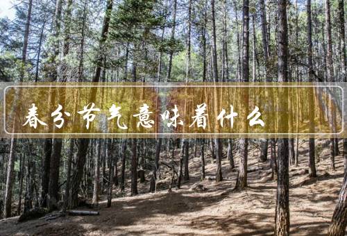 春分节气意味着什么（由来／天文现象／气候特点）