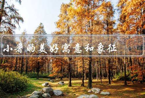 小暑的美好寓意和象征（炎热的太阳／丰收的季节／欢乐的节日）