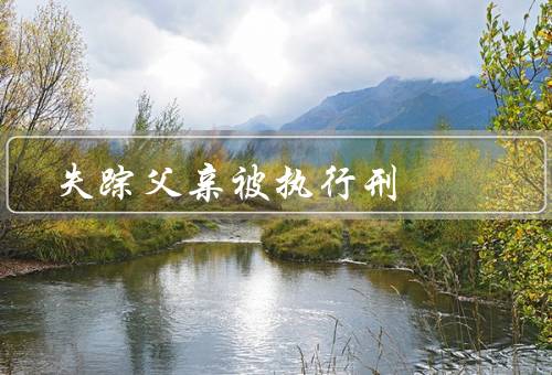 失踪父亲被执行死刑，失踪的父亲／执行死刑的判决