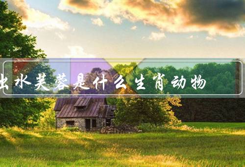 出水芙蓉是什么生肖动物（形象／象征意义／文化内涵）