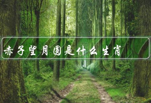 赤子望月圆是什么生肖，特点／事业与财运／爱情和家庭
