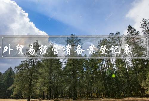 对外贸易经营者备案登记表，填写要求、提交和审批、意义和作用