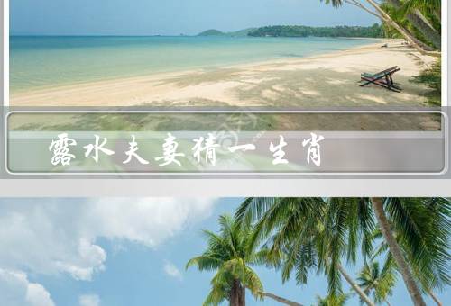 露水夫妻猜一生肖，变种、其他猜的方式